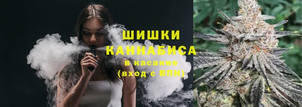 дмт Дмитриев