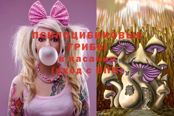 дмт Дмитриев
