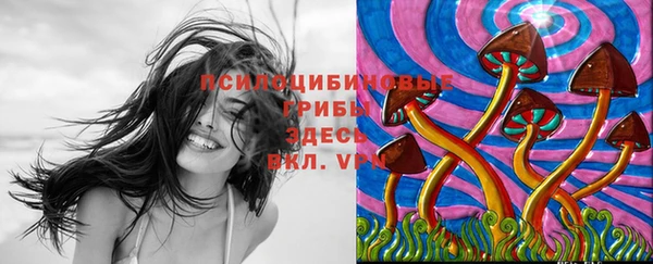 бошки Дмитров