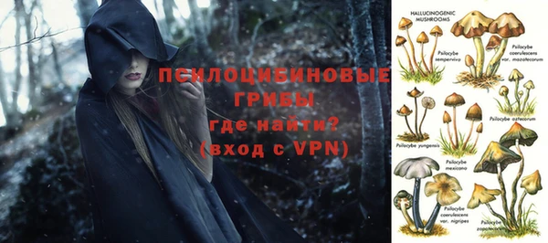 дмт Дмитриев