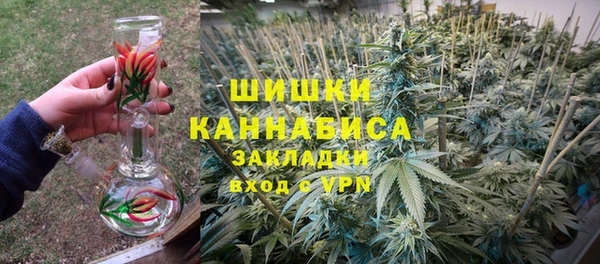 бошки Дмитров