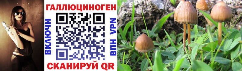 Псилоцибиновые грибы Magic Shrooms  Купить  Сольцы 