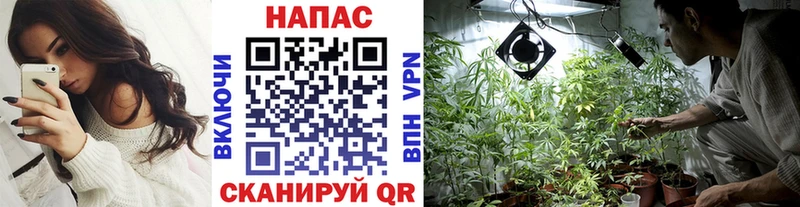 Конопля индика Купить закладки Сольцы